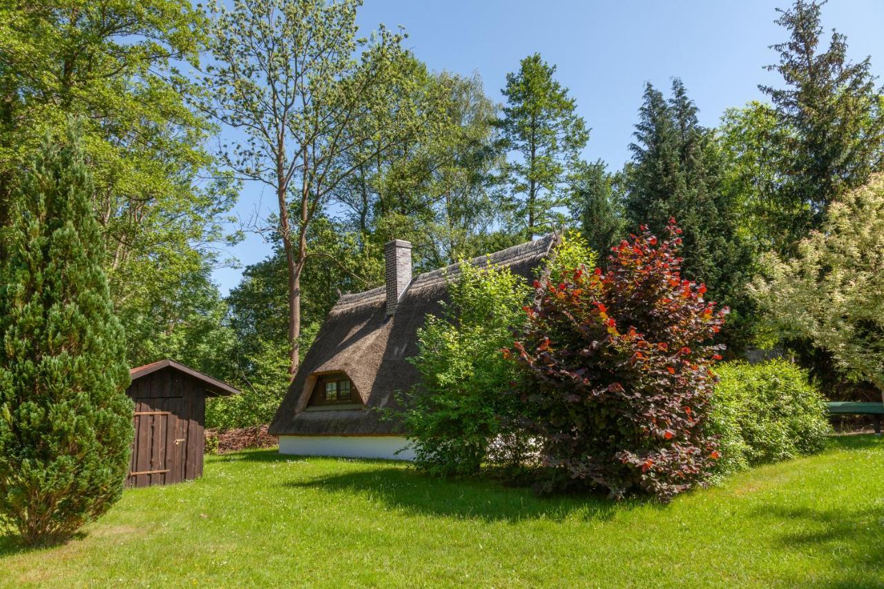 Ferienhaus Auf Der Kauperinsel Burg  Exteriör bild